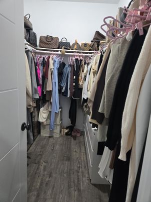 Interior, Walk-in Closets, Wood Texture Flooring