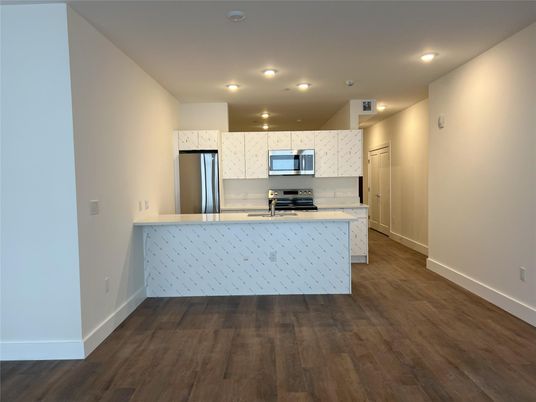 Interior, Kitchen, Recessed Lighting, Stainless Steel Appliances, Wood Texture Flooring