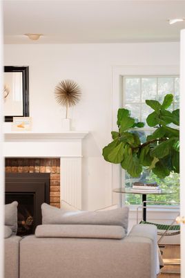 Fireplace, Interior, Living room