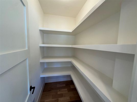 Interior, Walk-in Closets, Wood Texture Flooring