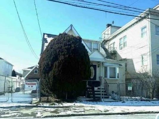 Exterior, Facade, None