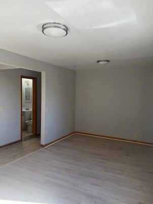 Bathroom, Empty room, Interior, Wood Texture Flooring