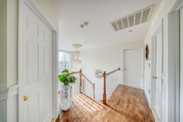 Chandelier, Interior, Wood Texture Flooring