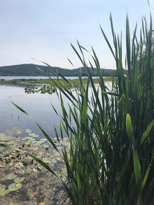 Exterior, Lake
