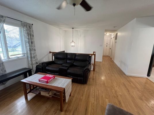 Interior, Living room, Pendant Lights, Wood Texture Flooring