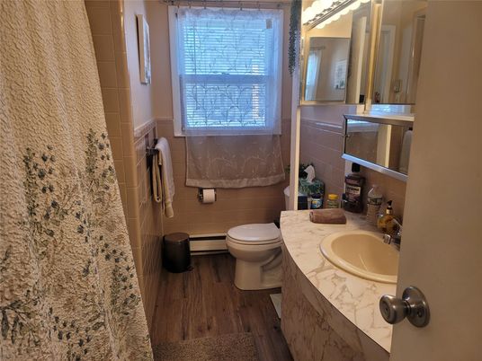 Bathroom, Interior, Wood Texture Flooring