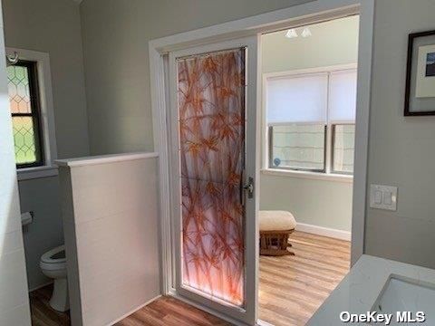 Bathroom, Interior, Wood Texture Flooring
