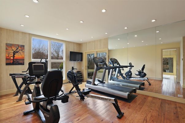 Fitness Equipment, Gym, Interior, Recessed Lighting, Wood Texture Flooring