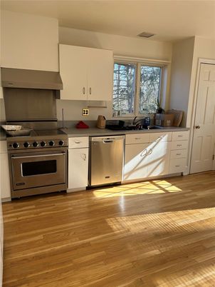 Interior, Kitchen, Stainless Steel Appliances, Wood Texture Flooring