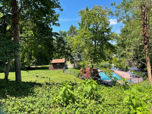 Backyard, Exterior, Pool