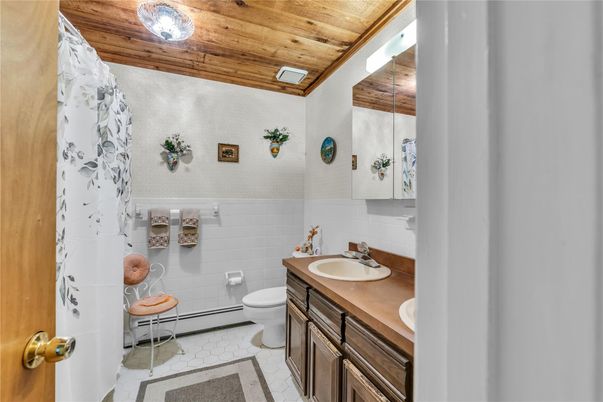 Bathroom, Interior, Wooden Ceilings
