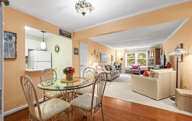 Dining room, Interior, Living room, Pendant Lights, Wood Texture Flooring