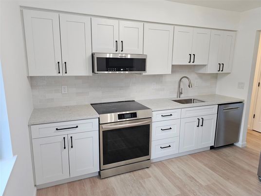 Interior, Kitchen, Stainless Steel Appliances, Wood Texture Flooring