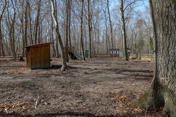 Backyard, Exterior, Playground