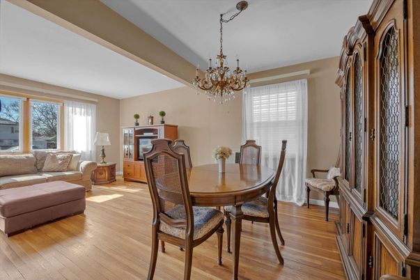 Chandelier, Dining room, Interior, Living room, Wood Texture Flooring