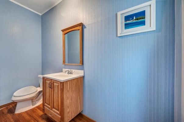 Bathroom, Interior, Wood Texture Flooring