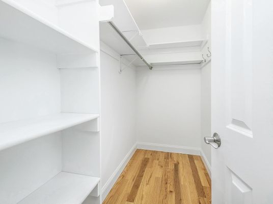 Interior, Walk-in Closets, Wood Texture Flooring