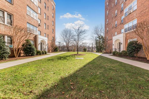 Backyard, Exterior, Facade, Brick Facade, Condo Building