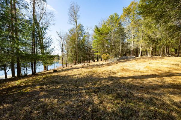 Backyard, Exterior, Water