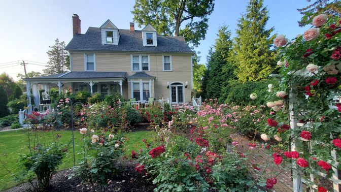Backyard, Exterior, Facade, Georgian
