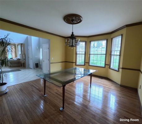Chandelier, Interior, Wood Texture Flooring