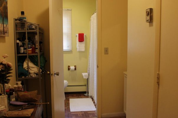 Bathroom, Interior, Wood Texture Flooring