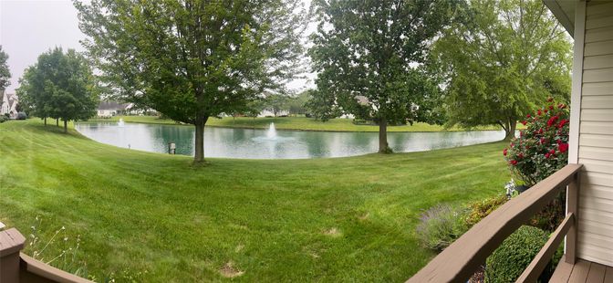 Backyard, Exterior, Water