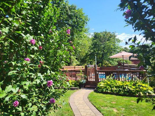 Backyard, Exterior