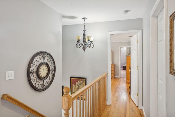 Chandelier, Interior, Wood Texture Flooring
