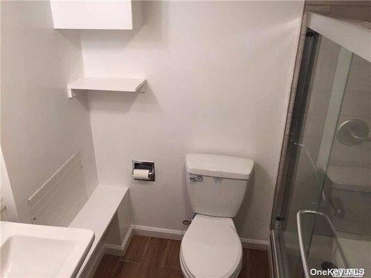 Bathroom, Glass Shower, Interior, Wood Texture Flooring