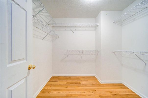 Interior, Walk-in Closets, Wood Texture Flooring