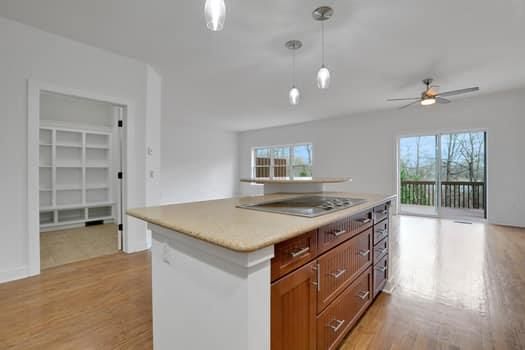 Interior, Kitchen, Pendant Lights, Wood Texture Flooring