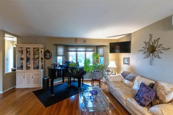 Interior, Living room, Piano, Wood Texture Flooring