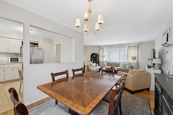 Chandelier, Dining room, Interior, Living room, Wood Texture Flooring
