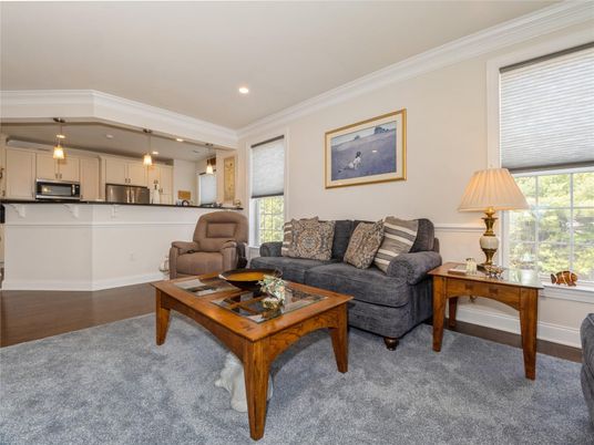 Interior, Kitchen, Living room, Pendant Lights, Recessed Lighting, Stainless Steel Appliances, Wood Texture Flooring