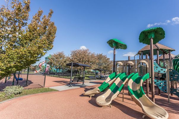 Backyard, Exterior, Playground