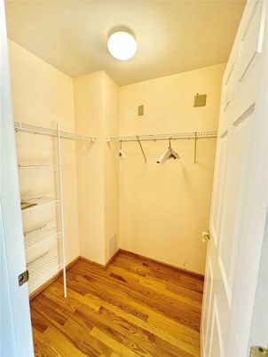 Interior, Walk-in Closets, Wood Texture Flooring