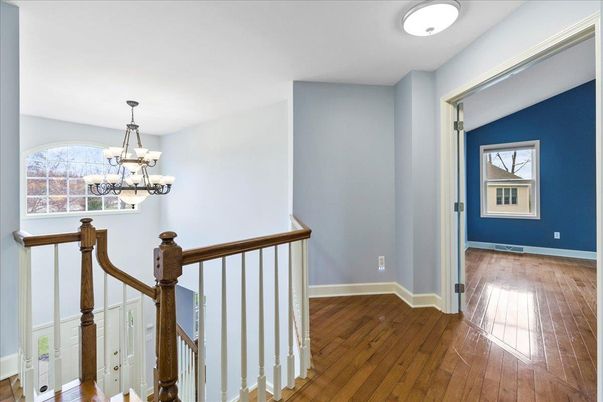 Chandelier, Interior, Wood Texture Flooring