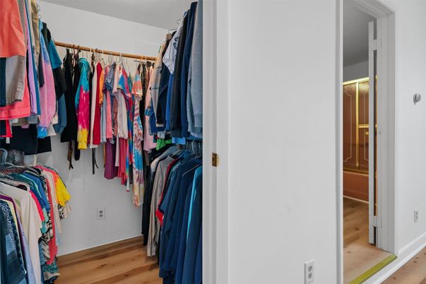 Interior, Walk-in Closets, Wood Texture Flooring