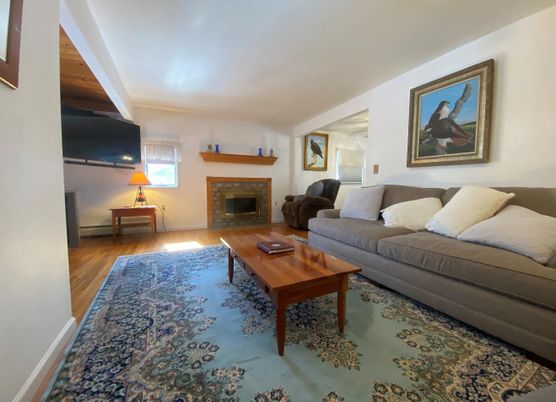 Fireplace, Interior, Living room, Wood Texture Flooring