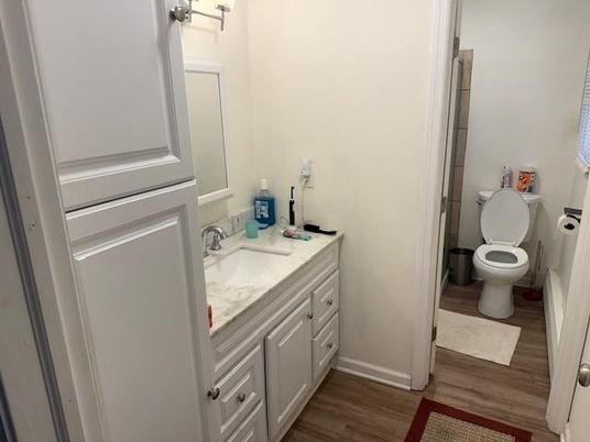 Bathroom, Interior, Wood Texture Flooring