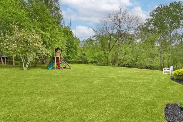 Backyard, Exterior, Playground
