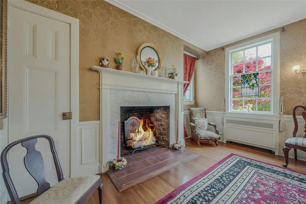 Fireplace, Interior, Wood Texture Flooring