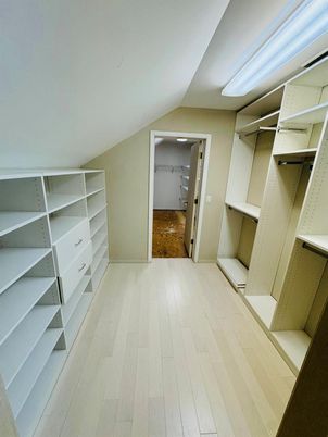 Interior, Walk-in Closets, Wood Texture Flooring