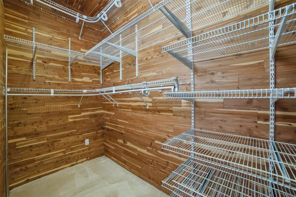 Interior, Wooden Walls