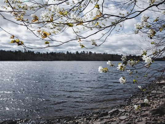 Exterior, Lake