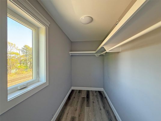 Interior, Walk-in Closets, Wood Texture Flooring