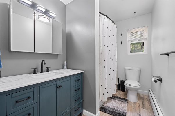 Bathroom, Interior, Wood Texture Flooring