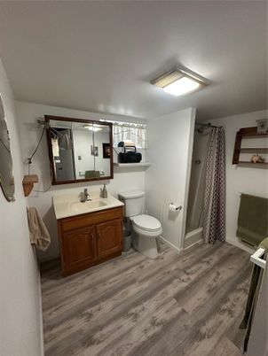 Bathroom, Interior, Wood Texture Flooring