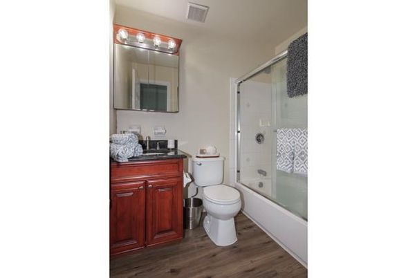Bathroom, Glass Shower, Interior, Wood Texture Flooring